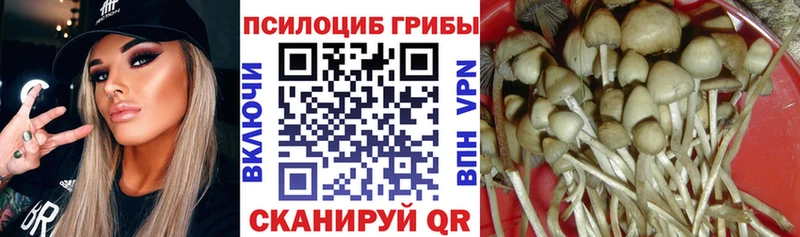сайты даркнета наркотические препараты Кувандык Псилоцибиновые грибы Psilocybine cubensis